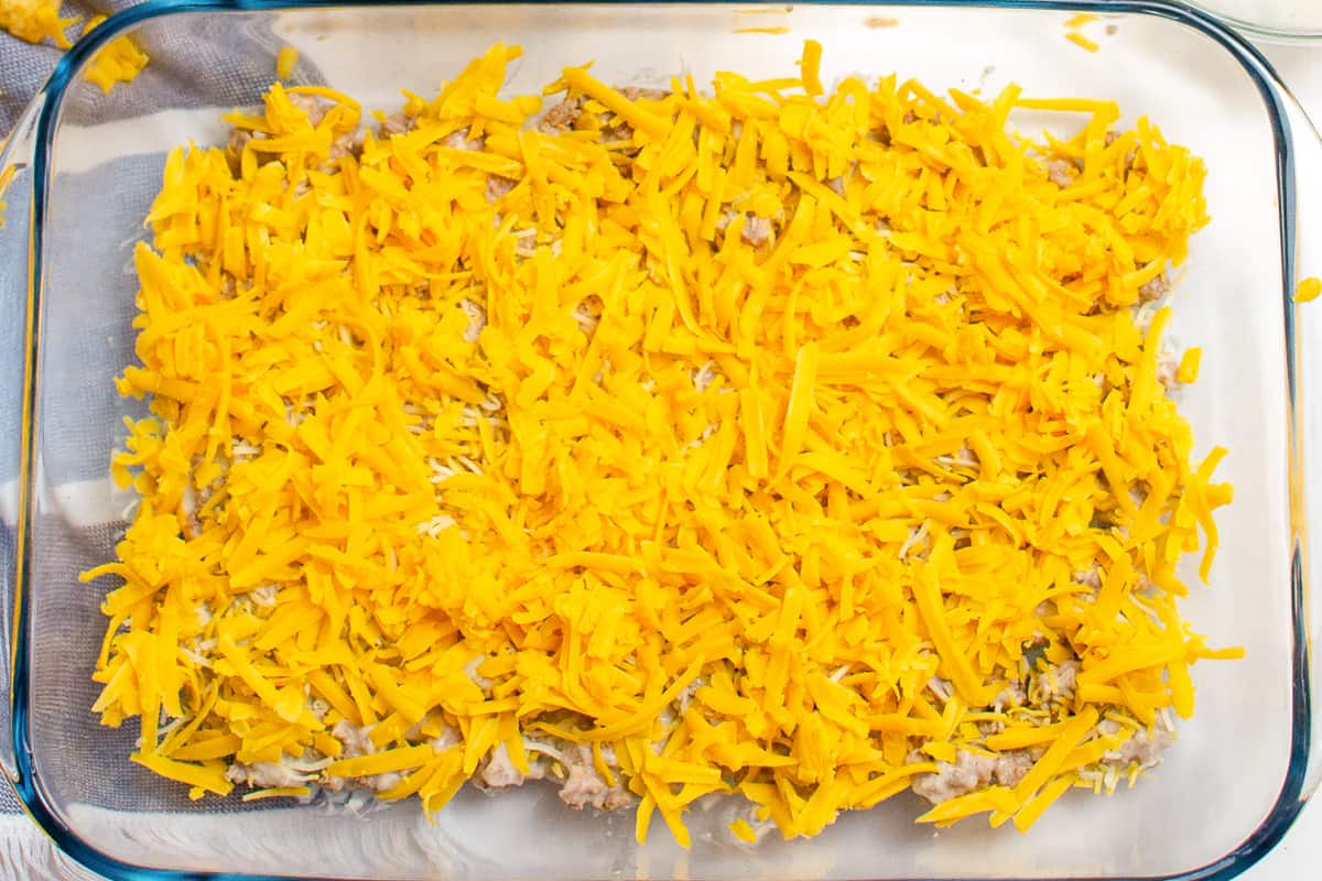 shredded cheddar cheese in 9 x 13 casserole dish