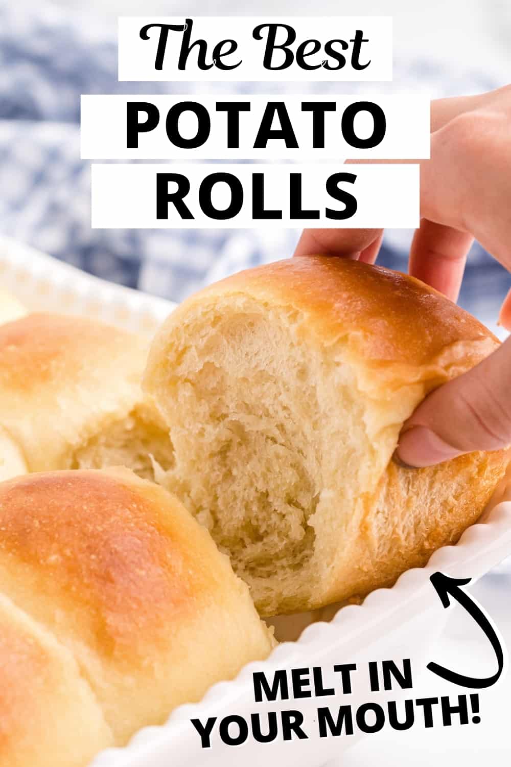 The Best Potato Rolls - they will melt in your mouth!
