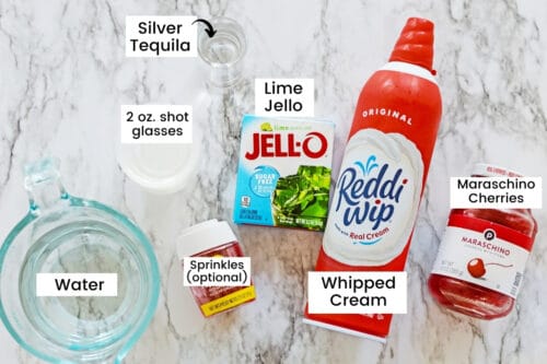 Grinch Jello Shots {Easy Christmas Jello Shot Recipe}
