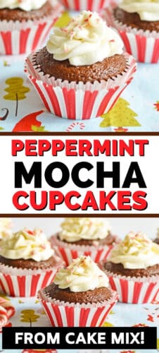 Peppermint Mocha Cupcakes from cake mix - pinterest image