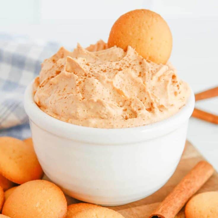 Pumpkin Fluff Dip Recipe (with Cool Whip)