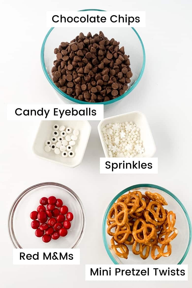 bowl of chocolate chips, bowl of mini pretzel twists, bowl of red M&Ms, bowl of candy eyes, bowl of paramount crystals