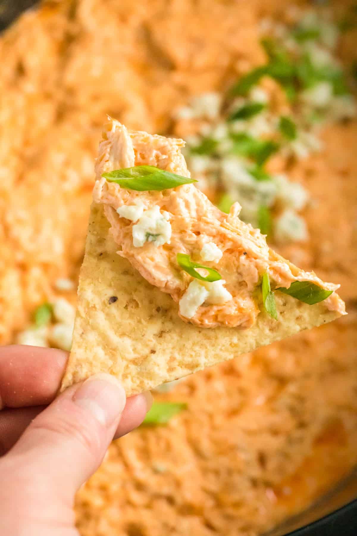 Tortilla chip dipped in buffalo chicken dip with cream cheese.