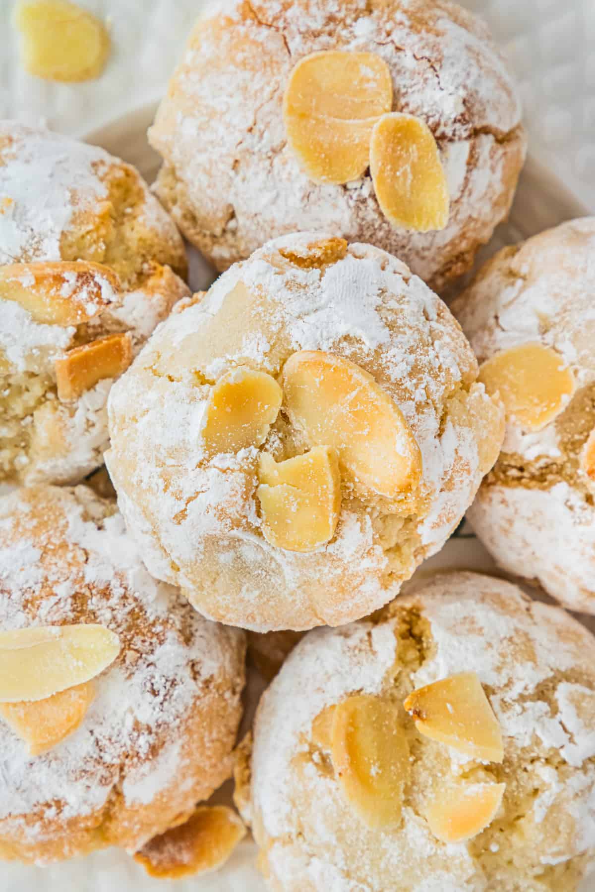 Italian Amaretti Cookies rolled in confectioners sugar and topped with flaked almonds