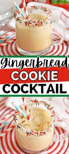 Gingerbread Cookie Cocktail Pinterest Image