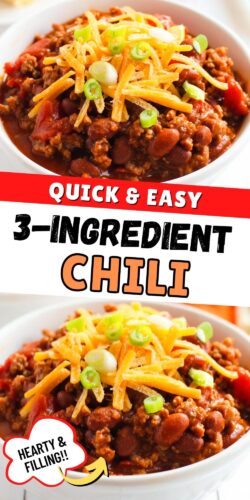 Quick and Easy 3 Ingredient Chili