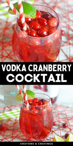 Vodka Cranberry Cocktail Pin