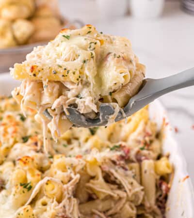 Large grey serving spoon scooping up a large serving of creamy chicken alfredo casserole with bacon, cheese, and parsley