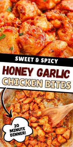 Sweet and spicy Honey Garlic Chicken Bites
