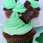 Chocolate cupcakes with mint frosting and andes mint candies sticking out of them.