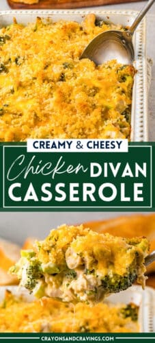 Creamy and Cheesy Chicken Divan Casserole