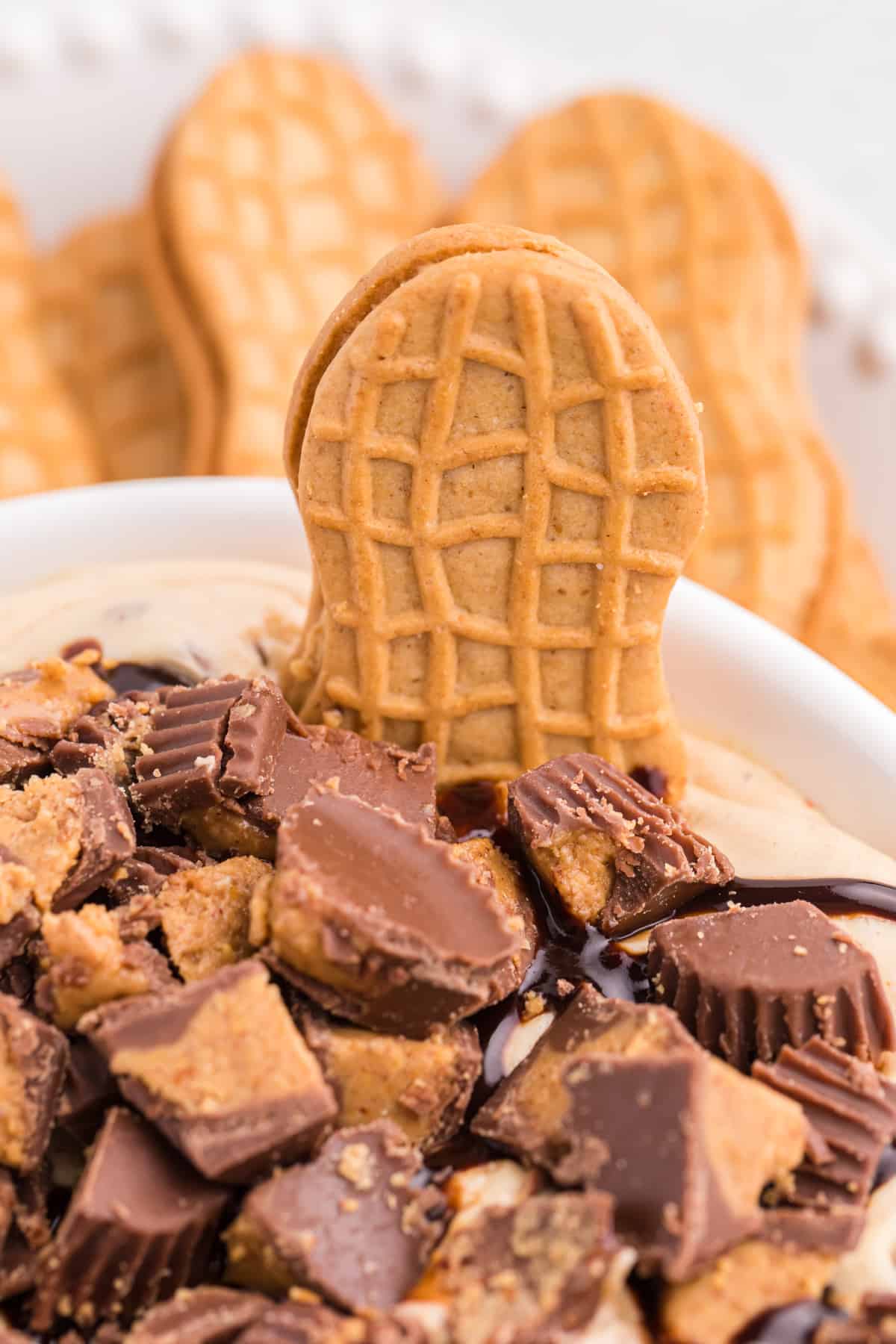 Nutter Butter Cookie sticking out of Reese's Peanut Butter Cup Dip with more cookies in the background.