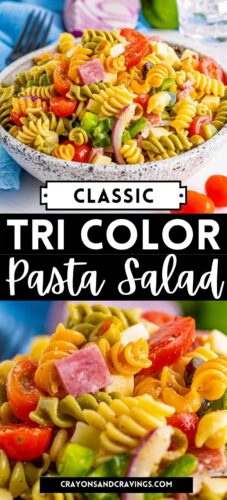 Classic Tri Color Pasta Salad