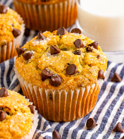 Bakery style chocolate chip muffin.