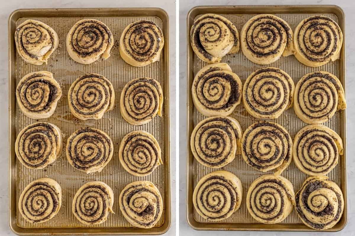 Cinnamon rolls on baking sheet before and after rising.