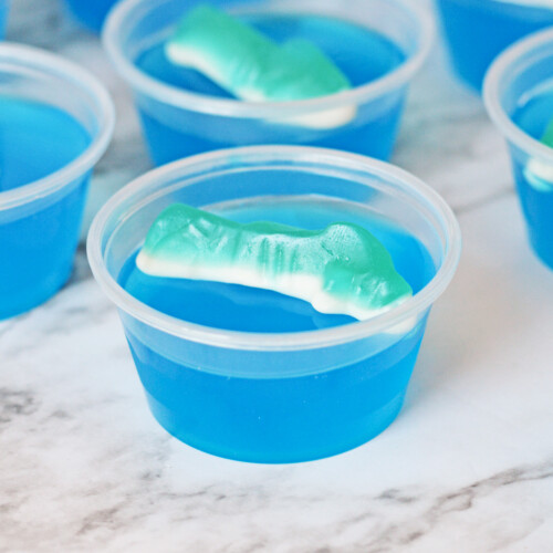 Shark Jello Shots