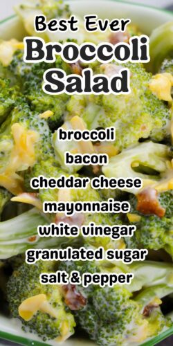 Best Ever Broccoli Salad pin with ingredients listed.