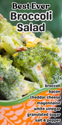 Best Ever Broccoli Salad Pin with recipe ingredients included.