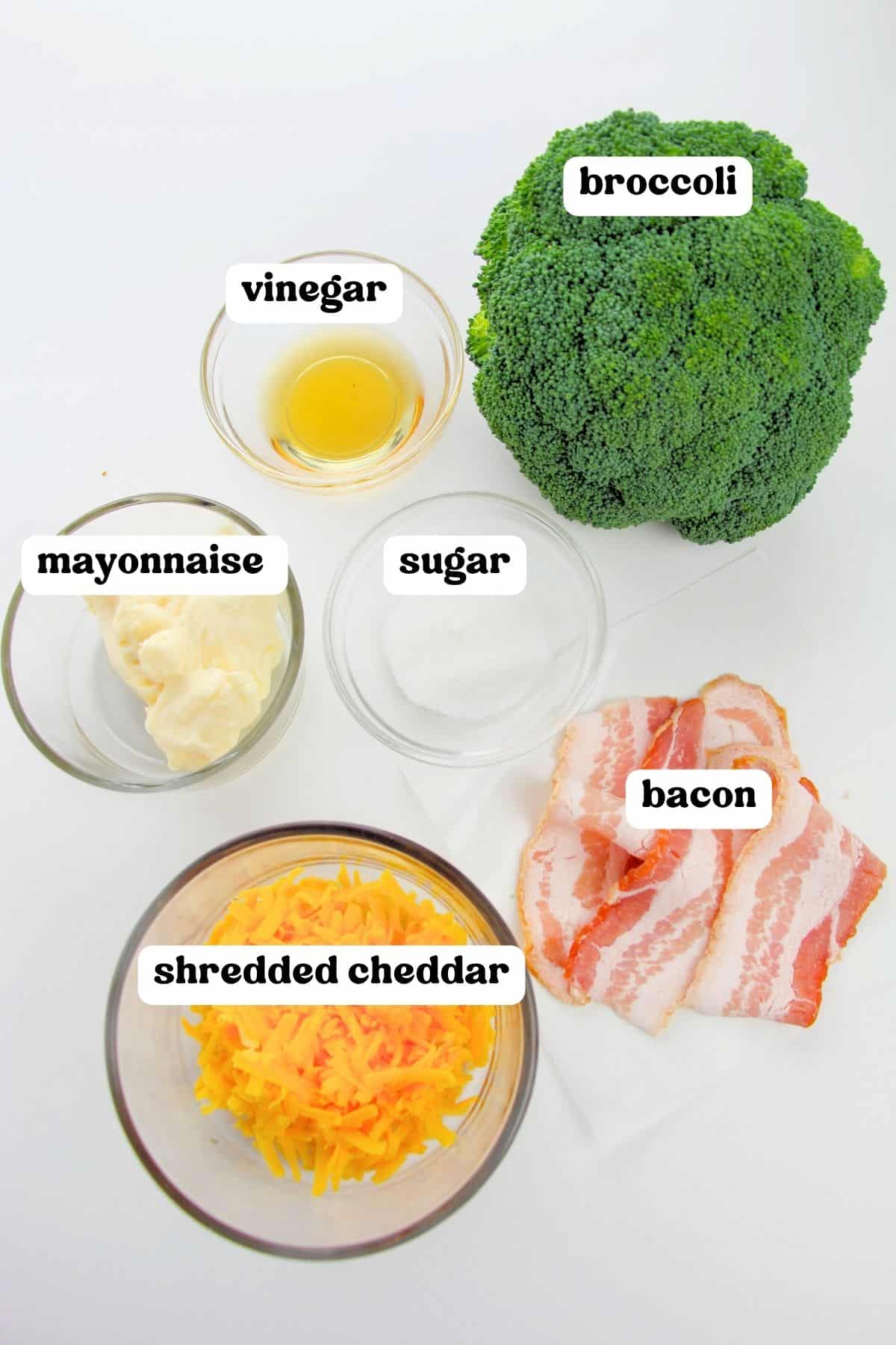 Ingredients for broccoli salad: head of fresh broccoli, vinegar, mayonnaise, sugar, shredded cheese, and bacon.