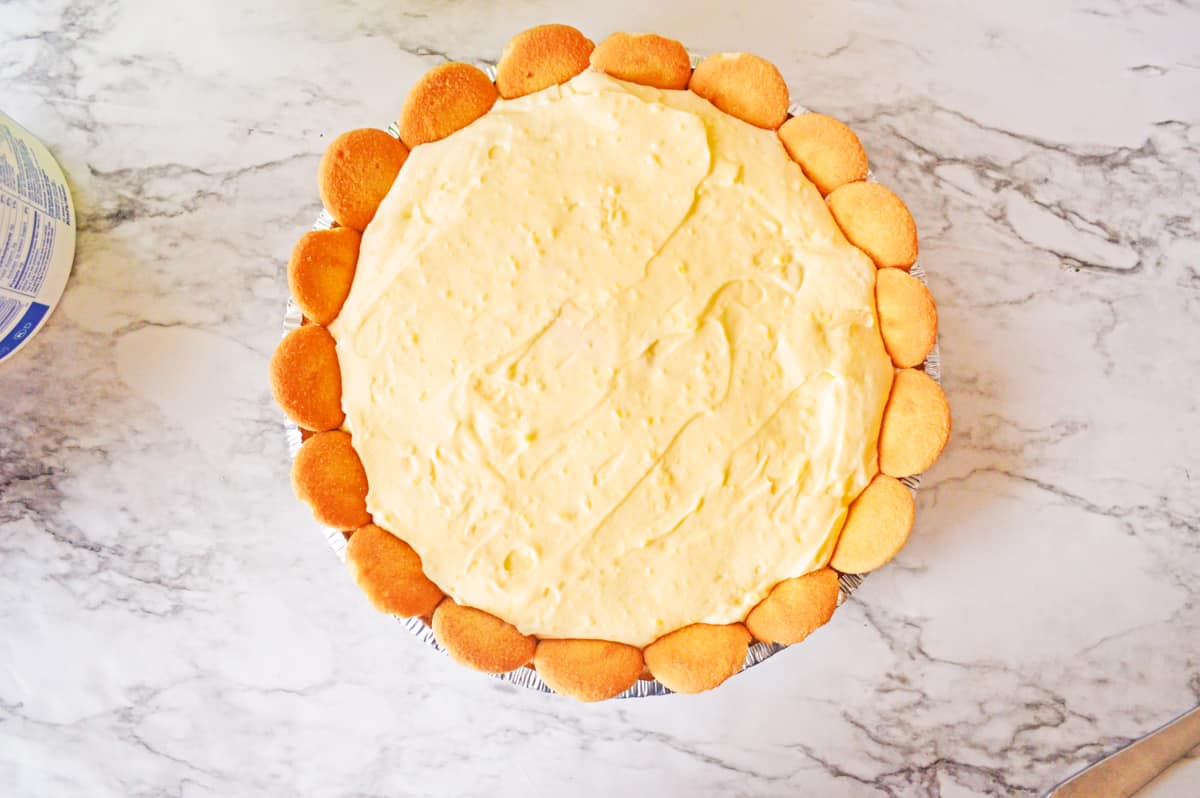 Pudding pie with vanilla wafers around rim.