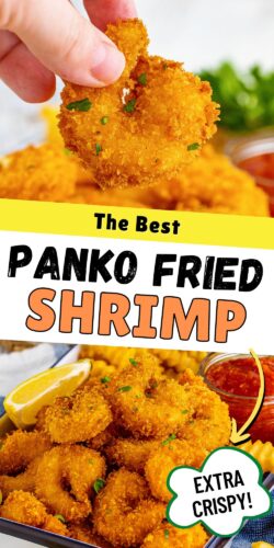 The Best Panko Fried Shrimp - Extra Crispy!