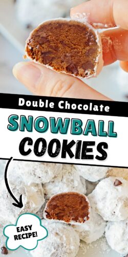 Double chocolate snowball cookies; easy recipe! Pinterest image.