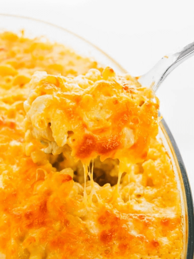 Family Favorite Baked Mac and Cheese!