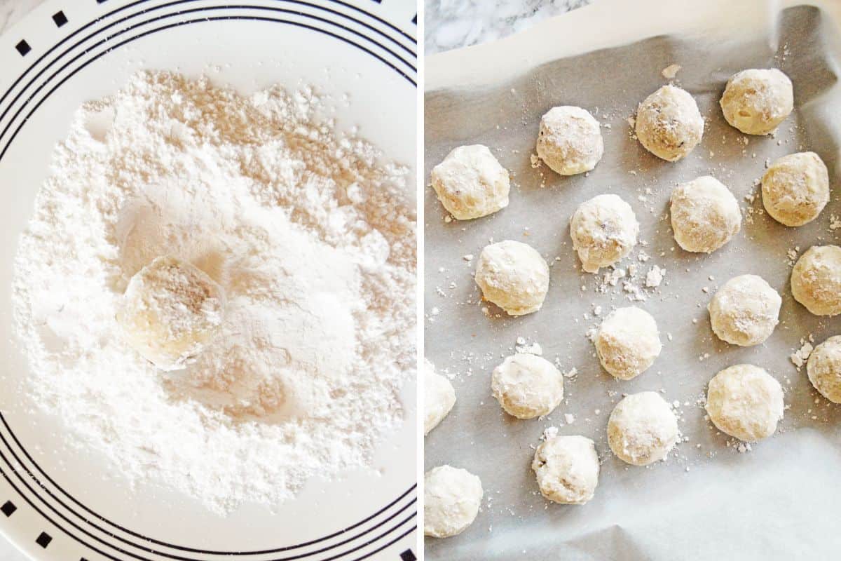 Round cookie being rolled in powdered sugar and lined baking sheet with rows of powdered covered cookies.