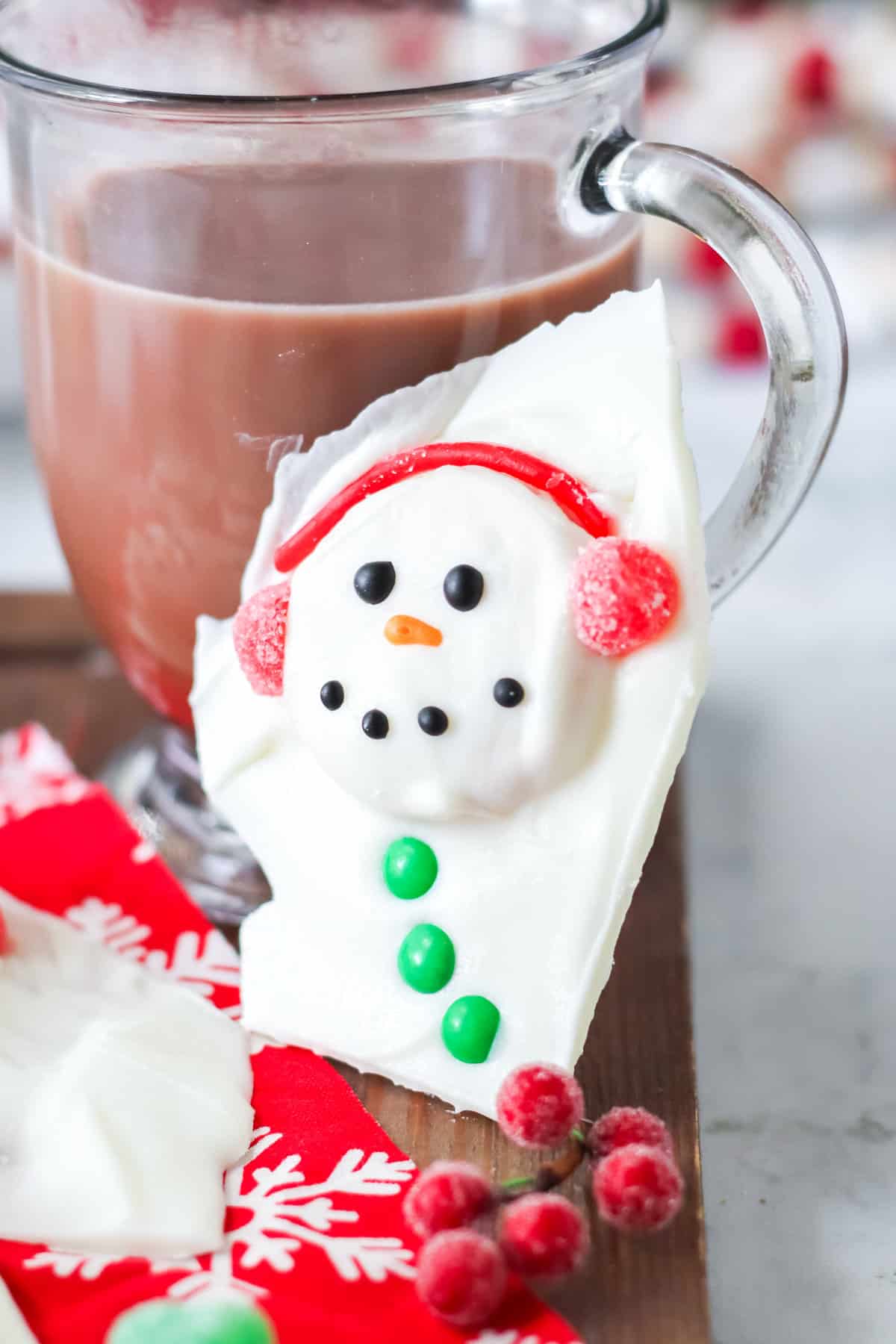 Piece of snowman bark leaning up against mug of hot cocoa.