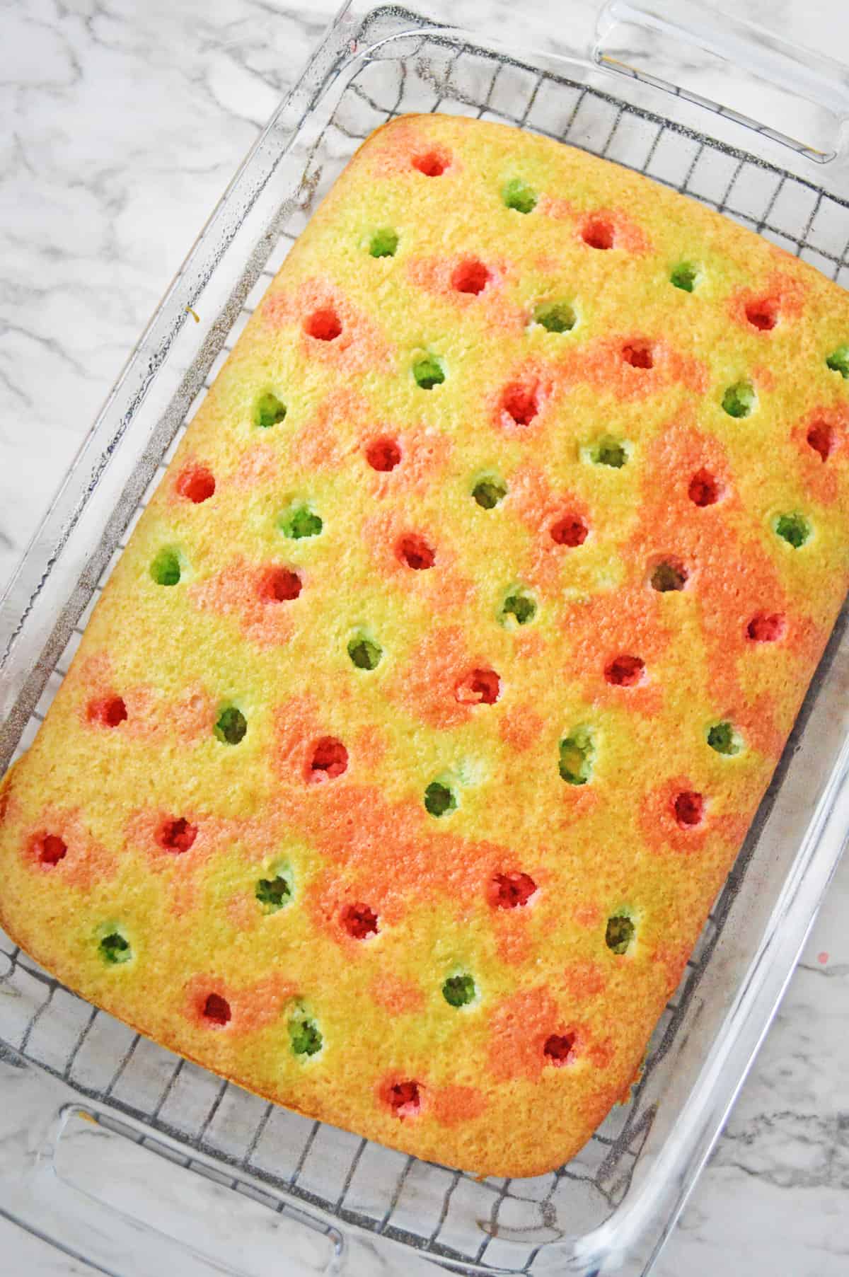 Rectangular vanilla cake poked with holes over the entire cake, each about 1 inch apart. Red and green jello has been poured into holes in an alternating pattern.