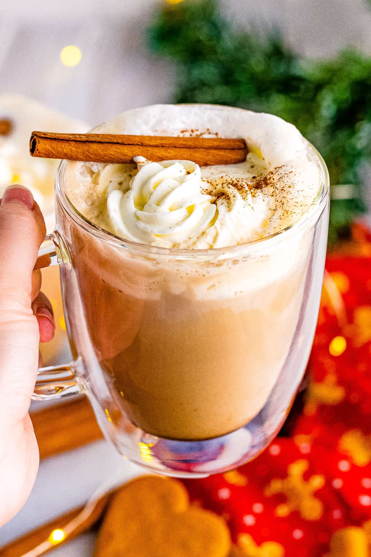 Hand holding a gingerbread latte topped with whipped cream and cinnamon.