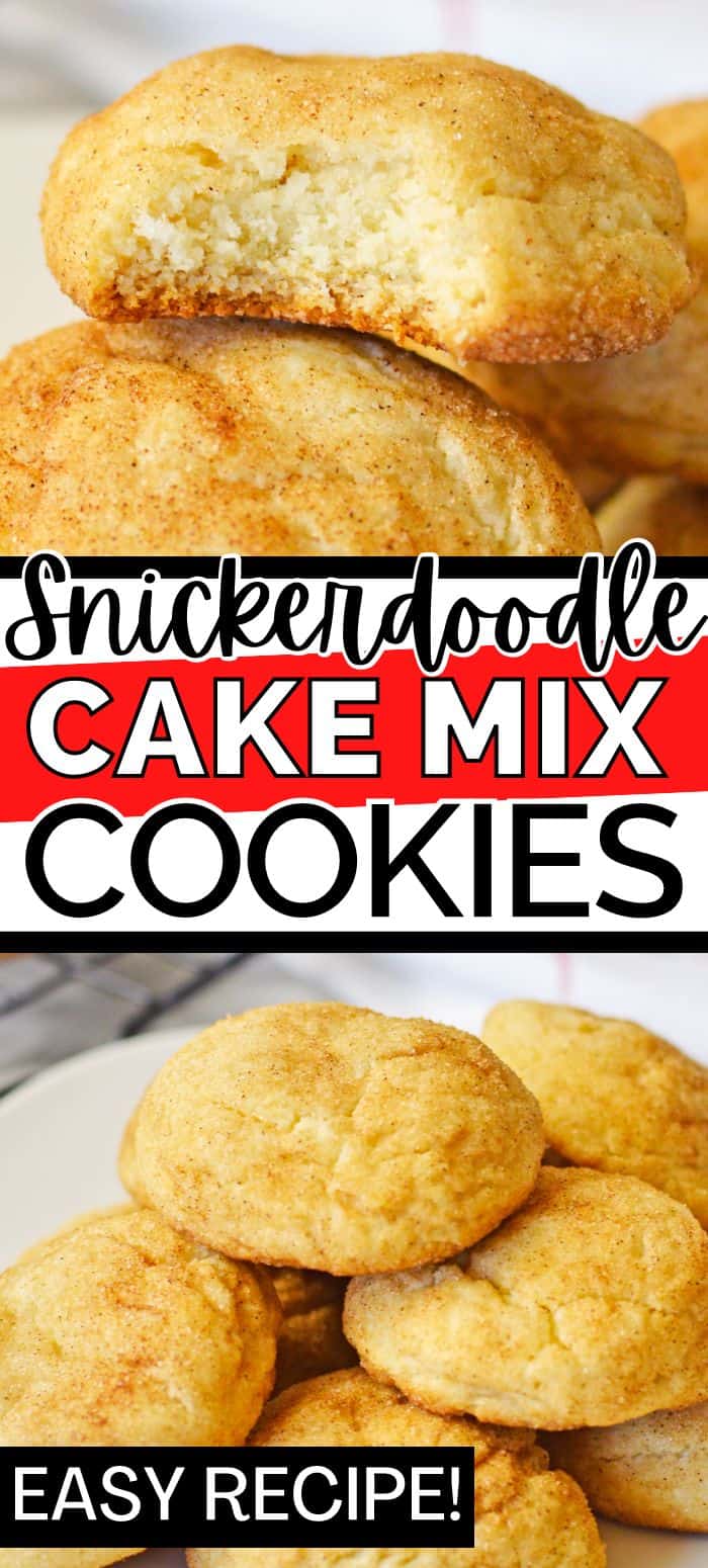 Snickerdoodle Cake Mix Cookies Recipe