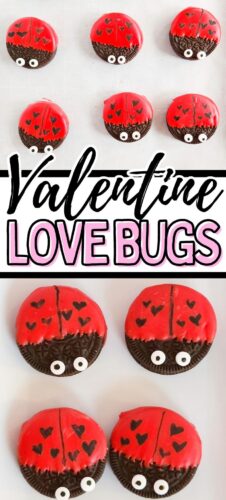 Valentine Love Bugs pin image.