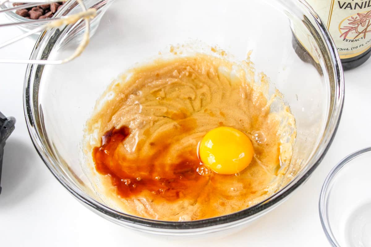 One egg and vanilla added to the bowl with wet ingredients.