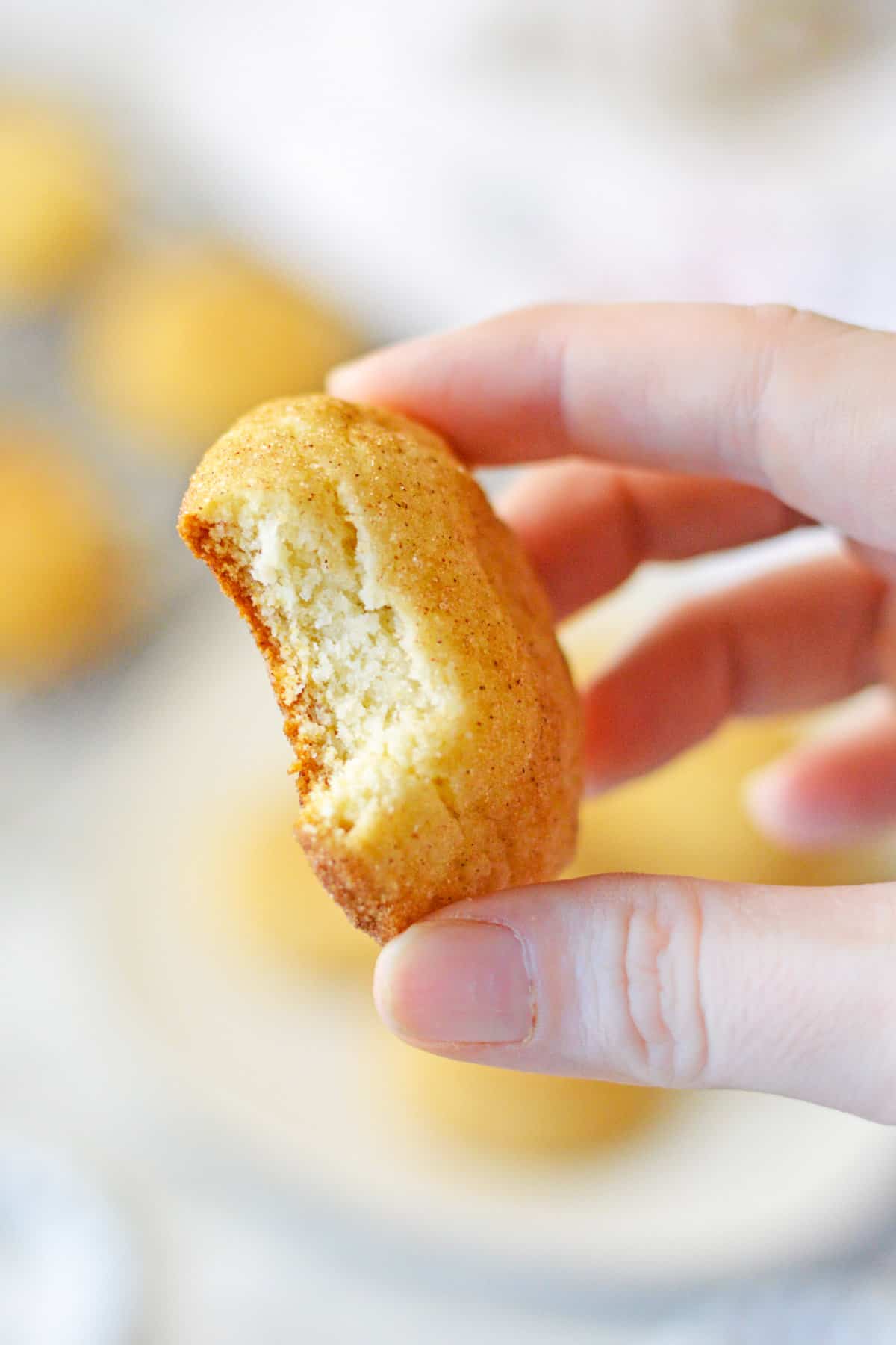 Hand holding snickerdoodle cookie with a bite taken out of it.