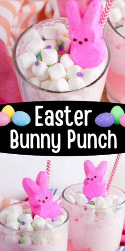 Easter Bunny Punch Pin image.