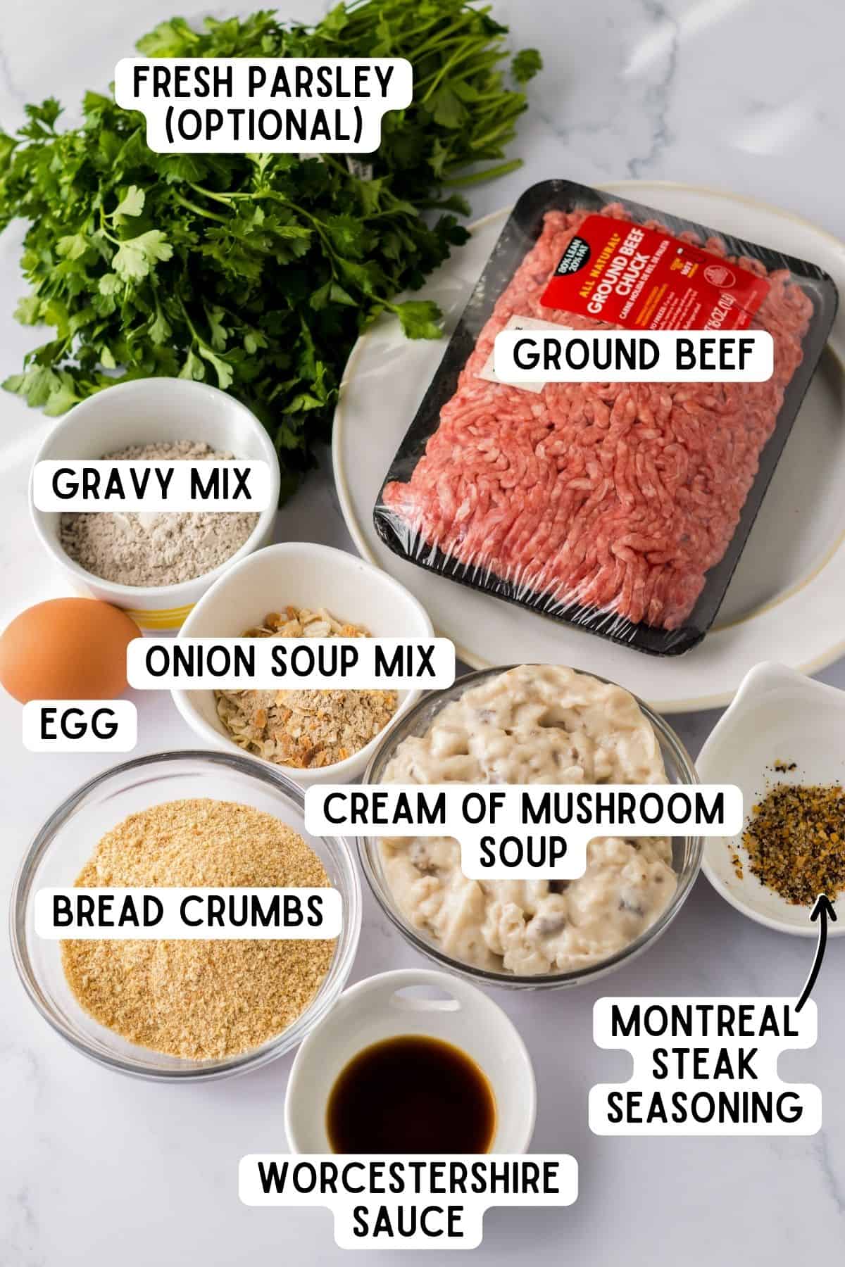 Ingredients for Crockpot Salisbury Steak Recipe.