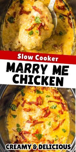 Slow Cooker Marry Me Chicken; creamy & delicious.