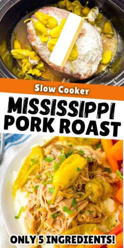 Slow Cooker Mississippi Pork Roast; Only 5 Ingredients!