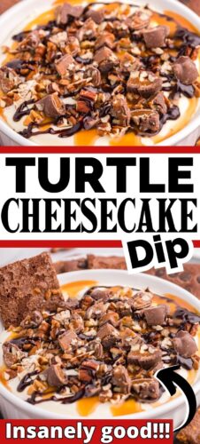 Turtle Cheesecake Dip