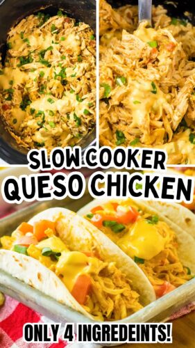 Slow cooker queso chicken - only 4 ingredients!