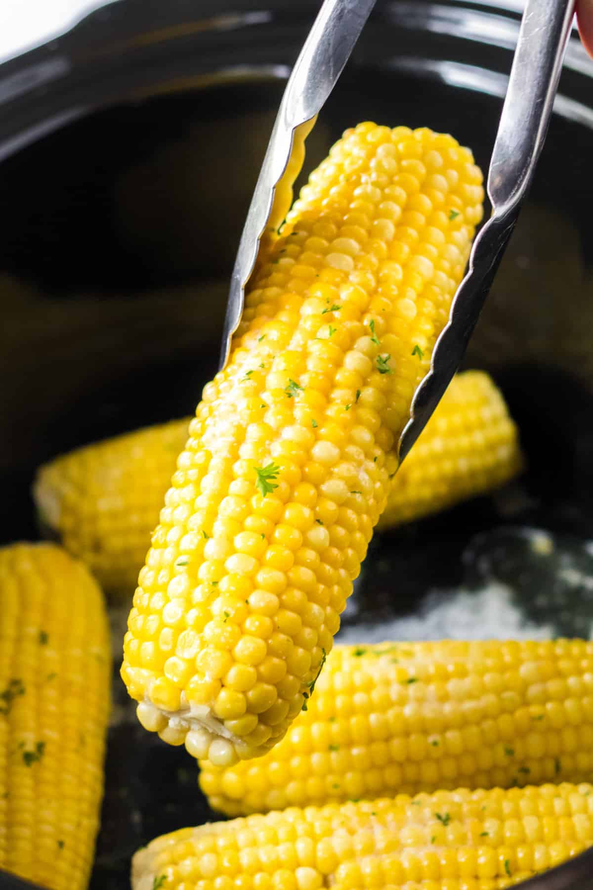 Corn on the cob in the slow cooker being lifted out with tongs.