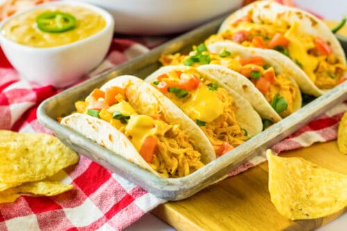Crockpot rotel chicken tacos with queso in soft tortillas.