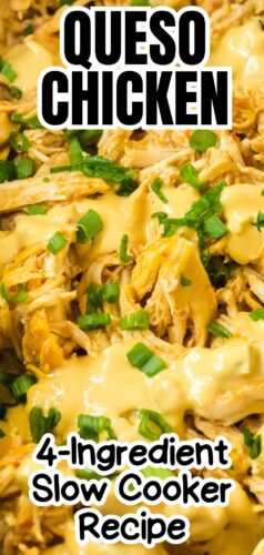Queso Chicken - 4 ingredient slow cooker recipe (pin).