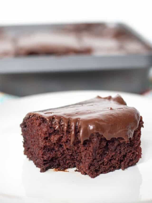 BEST Chocolate Crazy Cake Recipe!