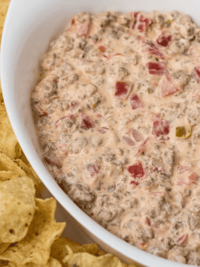 The Easiest Rotel Cheese Dip!