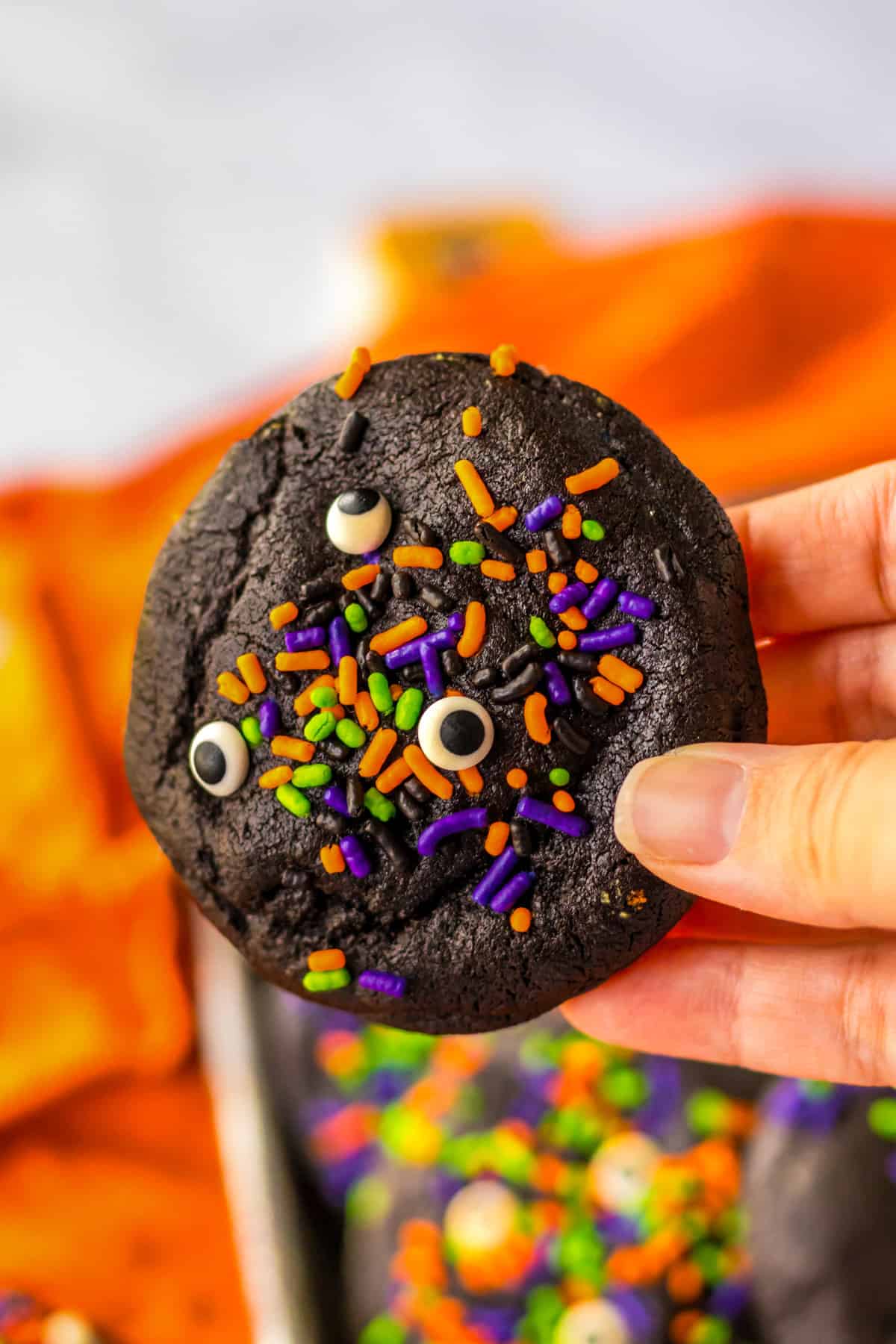 Hand holding a single decorated halloween cookie.