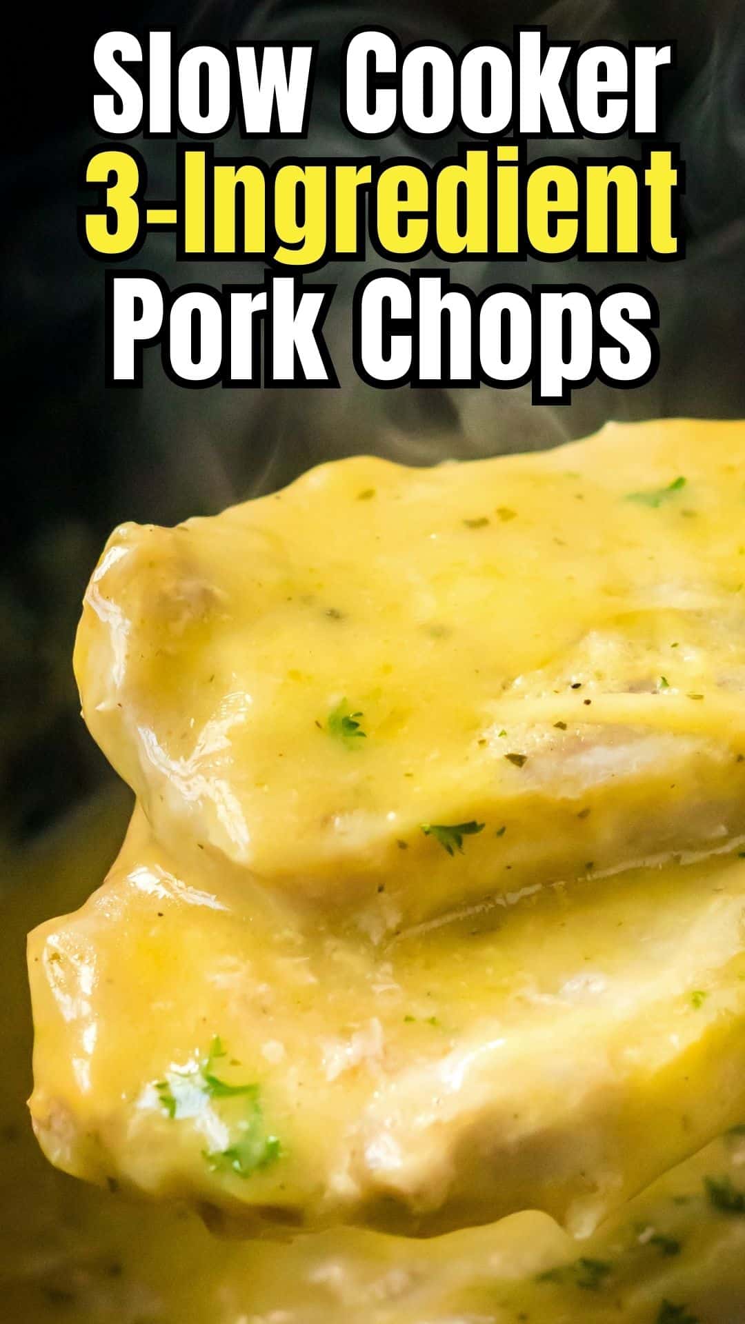 3 Ingredient Crock Pot Pork Chops (Easy Recipe!)