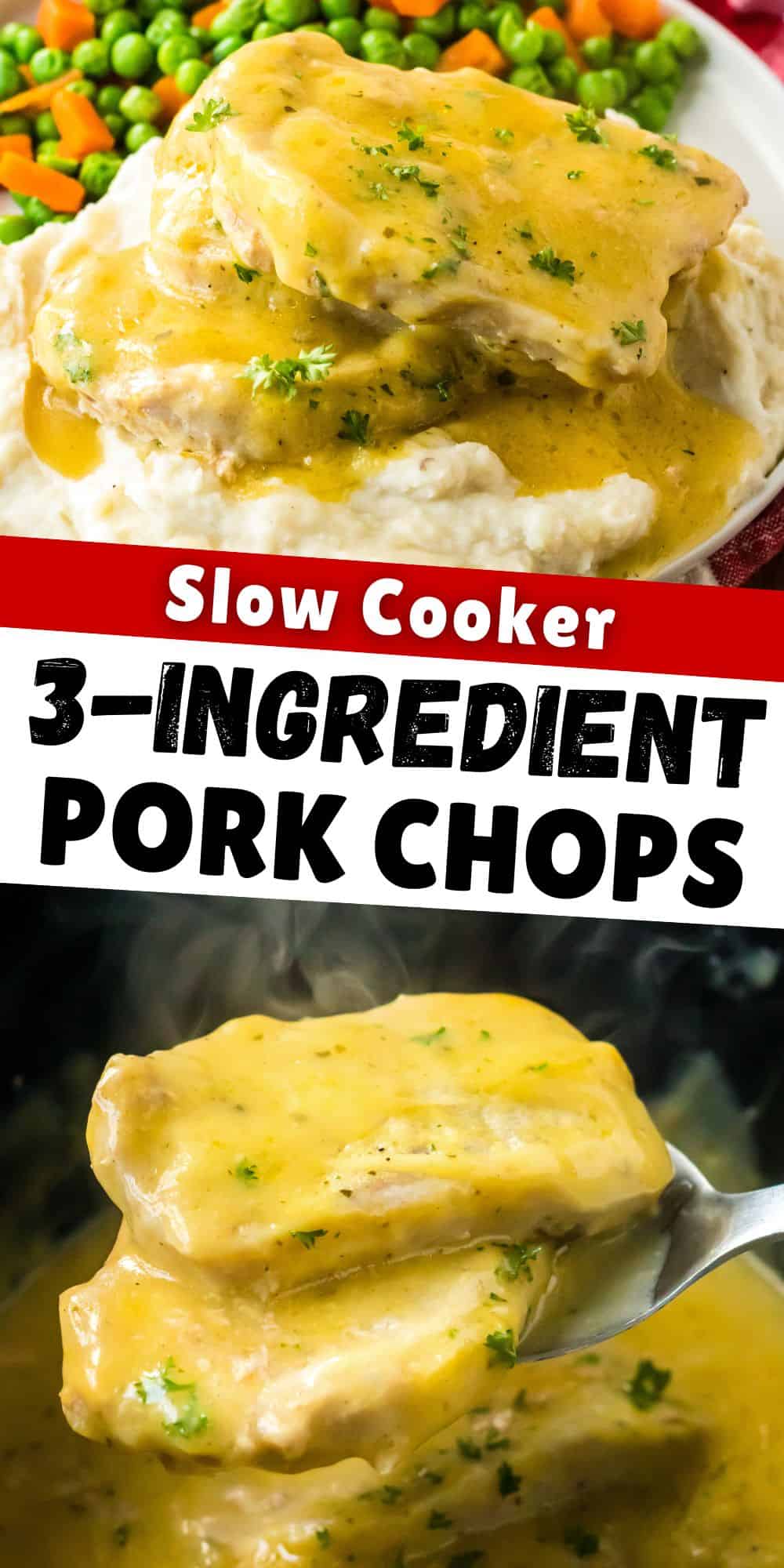 3 Ingredient Crock Pot Pork Chops Easy Recipe   Slow Cooker 3 Ingredient Pork Pin 