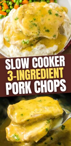 Slow cooker 3-ingredient pork chop pin.